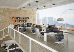 Linha Web